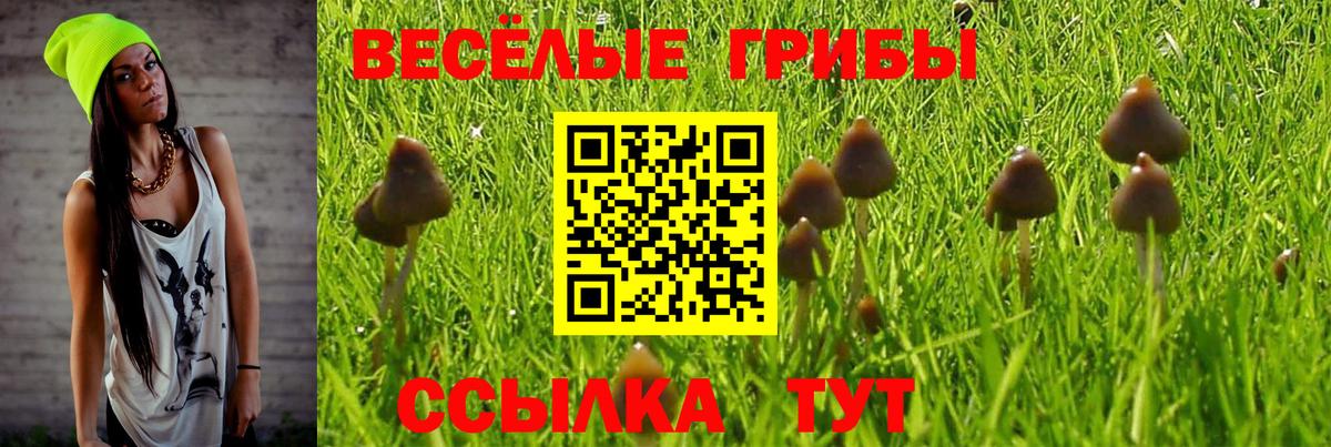 Псилоцибиновые грибы Psilocybine cubensis  Вход с VPN  Галлюциногенные грибы мухоморы  Татарск 